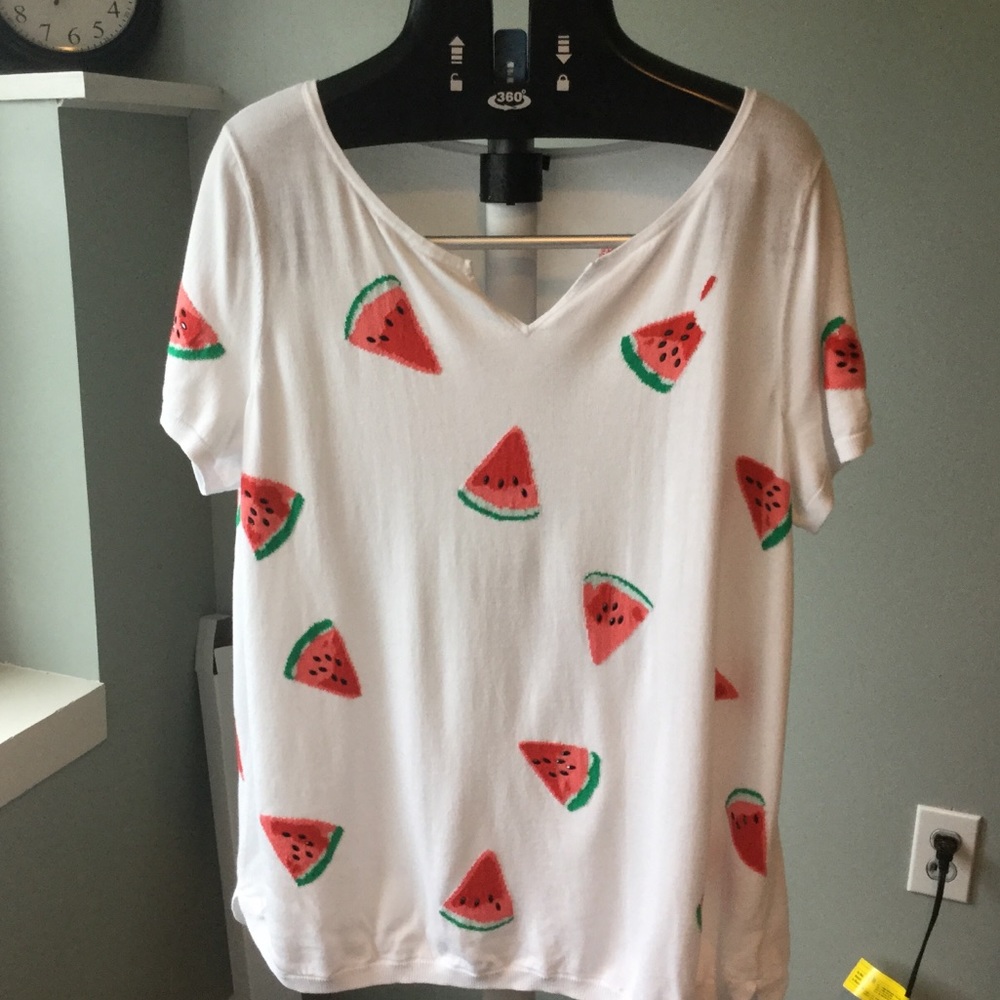 Watermelon Sweater 🍉